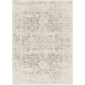 5' x 7' Distressed Oriental Area Rug in Light Grey / Beige